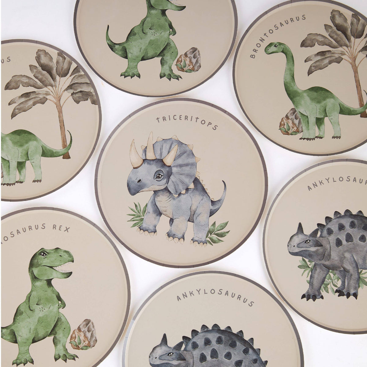 Assorted dinosaur plates spread across a white surface