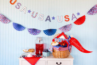 Americana Bunting Banner | 4th of July Banner, Patriotic Banner, Patriotic Paper Banner, 4th of July Party, Memorial Day Party, Garland