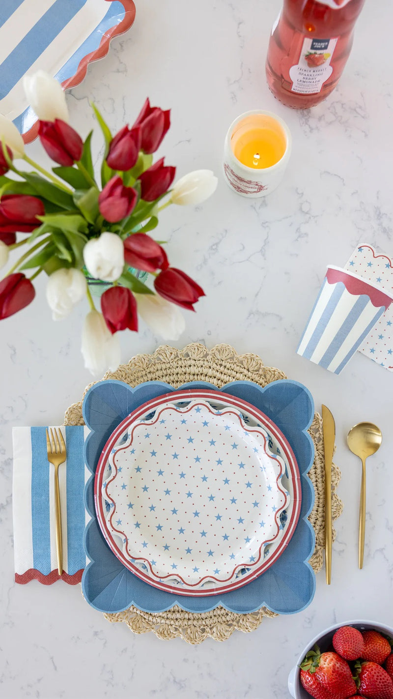 Hamptons Petite Stars 9" Paper Plates, 8ct | Patriotic Plates, July 4th Paper Plates, 4th of July Party Supplies, Stars and Stripes Plate