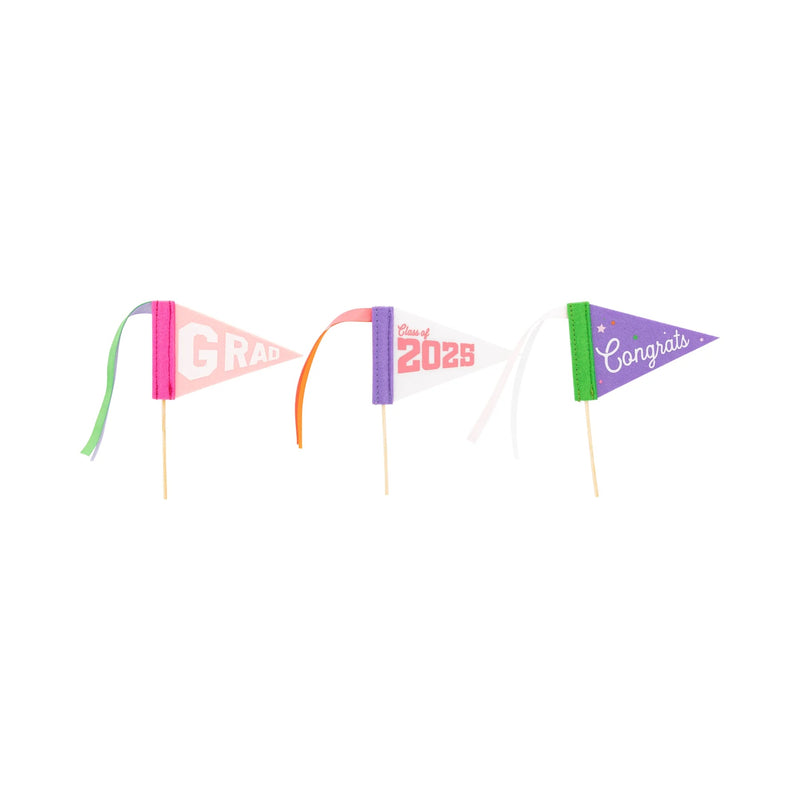 Pink Graduation Mini Felt Pennant Set | Graduation Decor, Class of 2025, Graduation Cake Topper, Graduation Party, Girl Graduation
