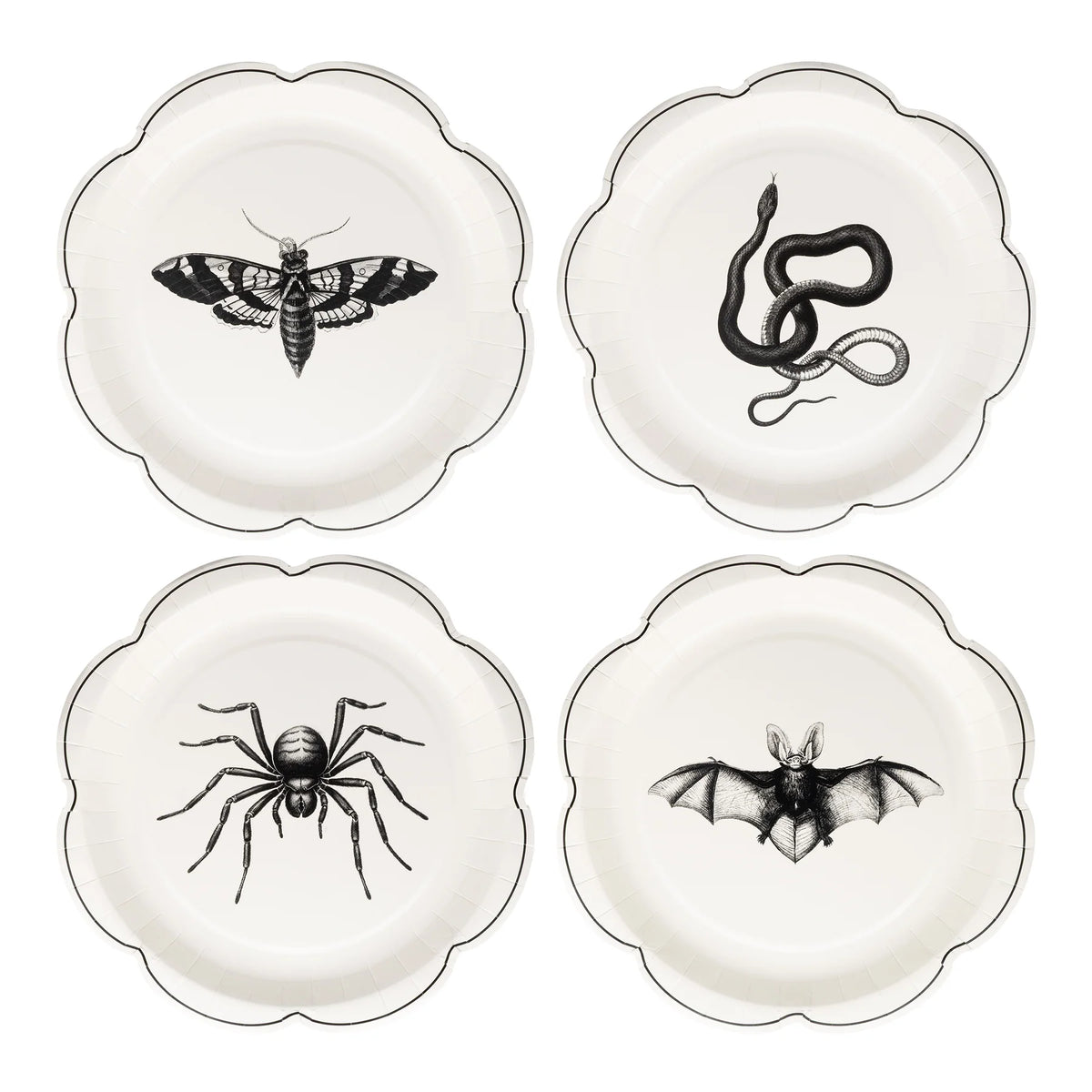 Set of four 8-inch dessert plates—snake, bat, spider, and moth illustrations on cream background with fine black trim.