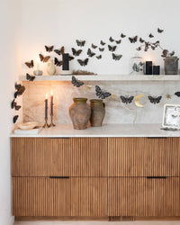 Detail shot of several black moths with gold foil arranged on a wall, showing the 3", 5", and 6" graduated sizes.
