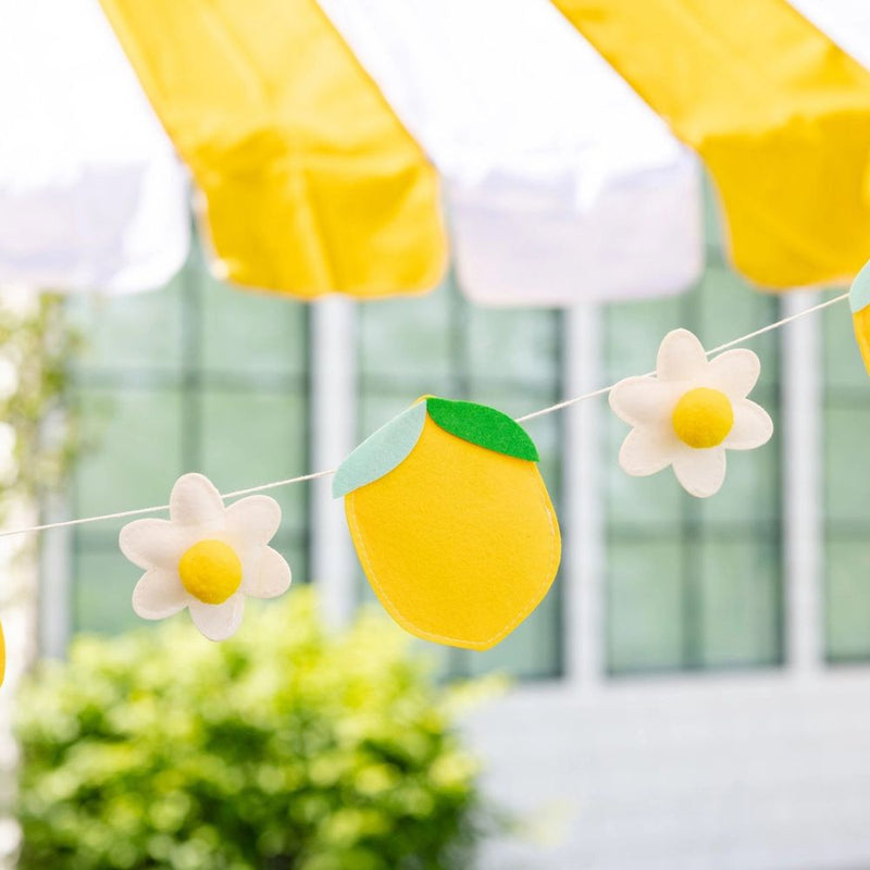 close up of felt lemon and flower garland strung on white string outdoors.