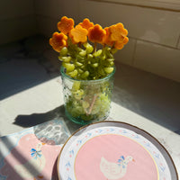 Goose and napkin pink paper plate and paper napkin with fruits on a stick.