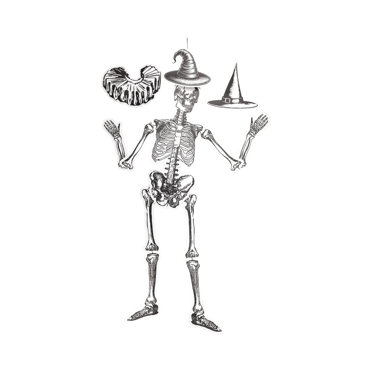 Large paper skeleton with gold brads posed in dancing positions, full-length view.