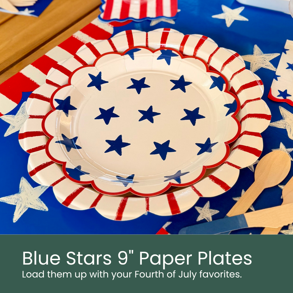 Blue Stars Paper Plates - Moment & Co's Fourth of July Holiday Subscription Box