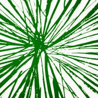 Macro closeup of green splatter starburst pattern on a white plate.