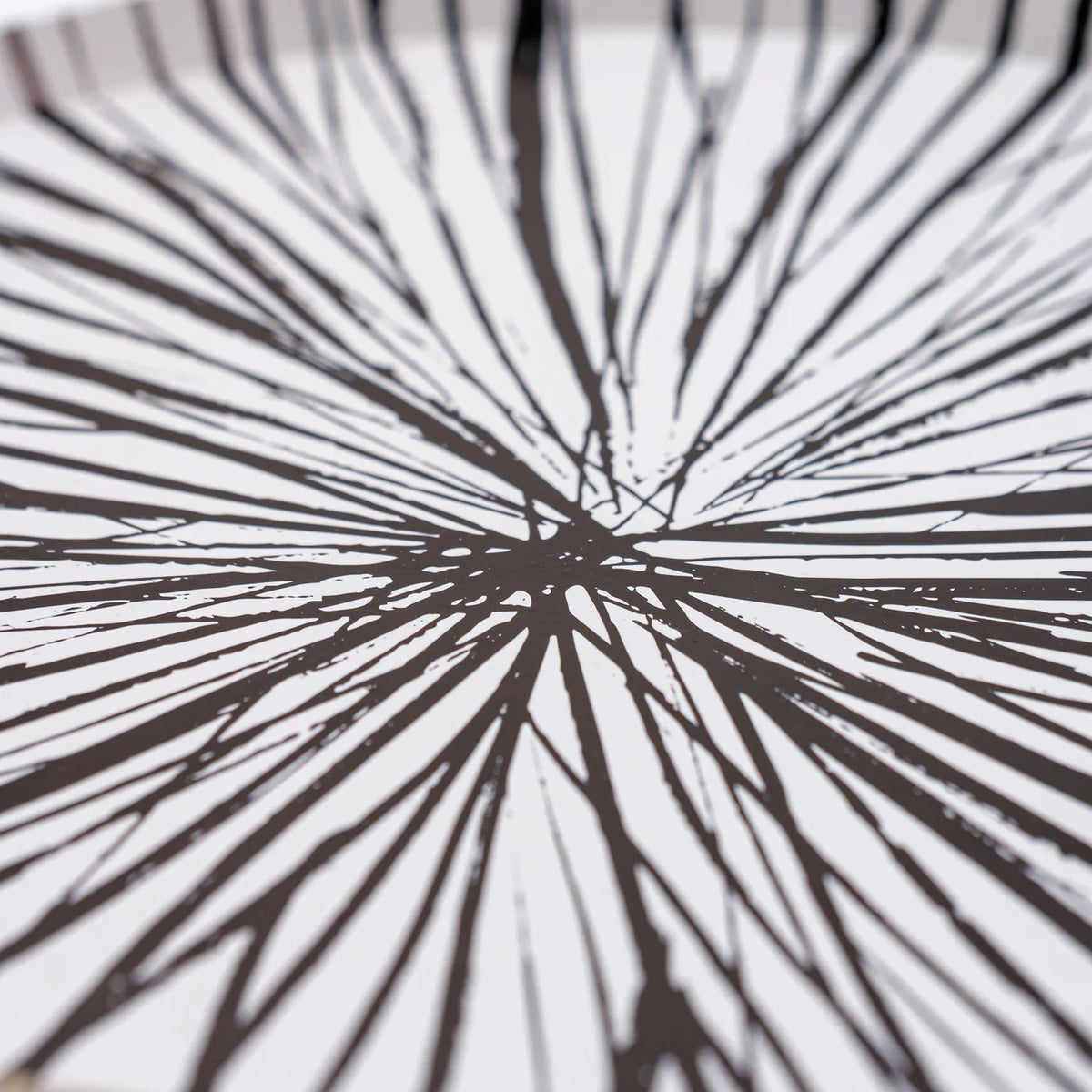 Close view of Radiance black dinner plate rim, bold sunburst, chic Paper Plates