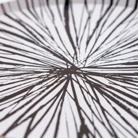 Close view of Radiance black dinner plate rim, bold sunburst, chic Paper Plates