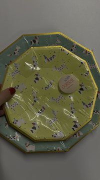 Video of Hot Diggity Dog Birthday Party Supplies Collection