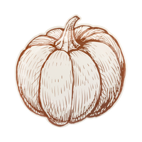 Die-cut pumpkin-shaped paper plate with brown line-art on cream, front view.