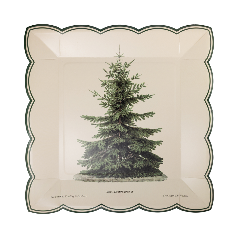 Cream square paper plate with a vintage green Christmas tree and a green scalloped edge.